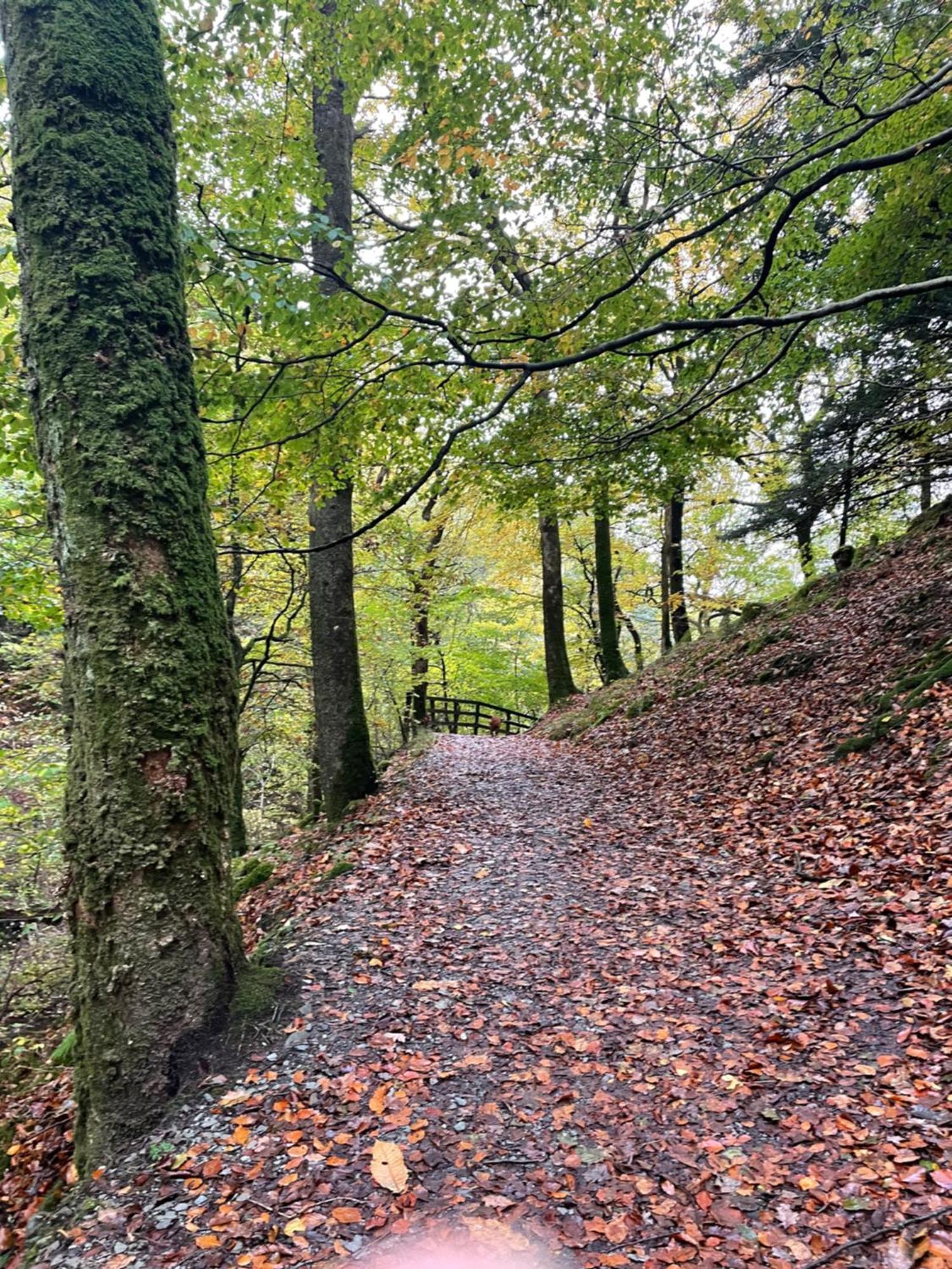 Grizedale View Apartman Coniston Kültér fotó