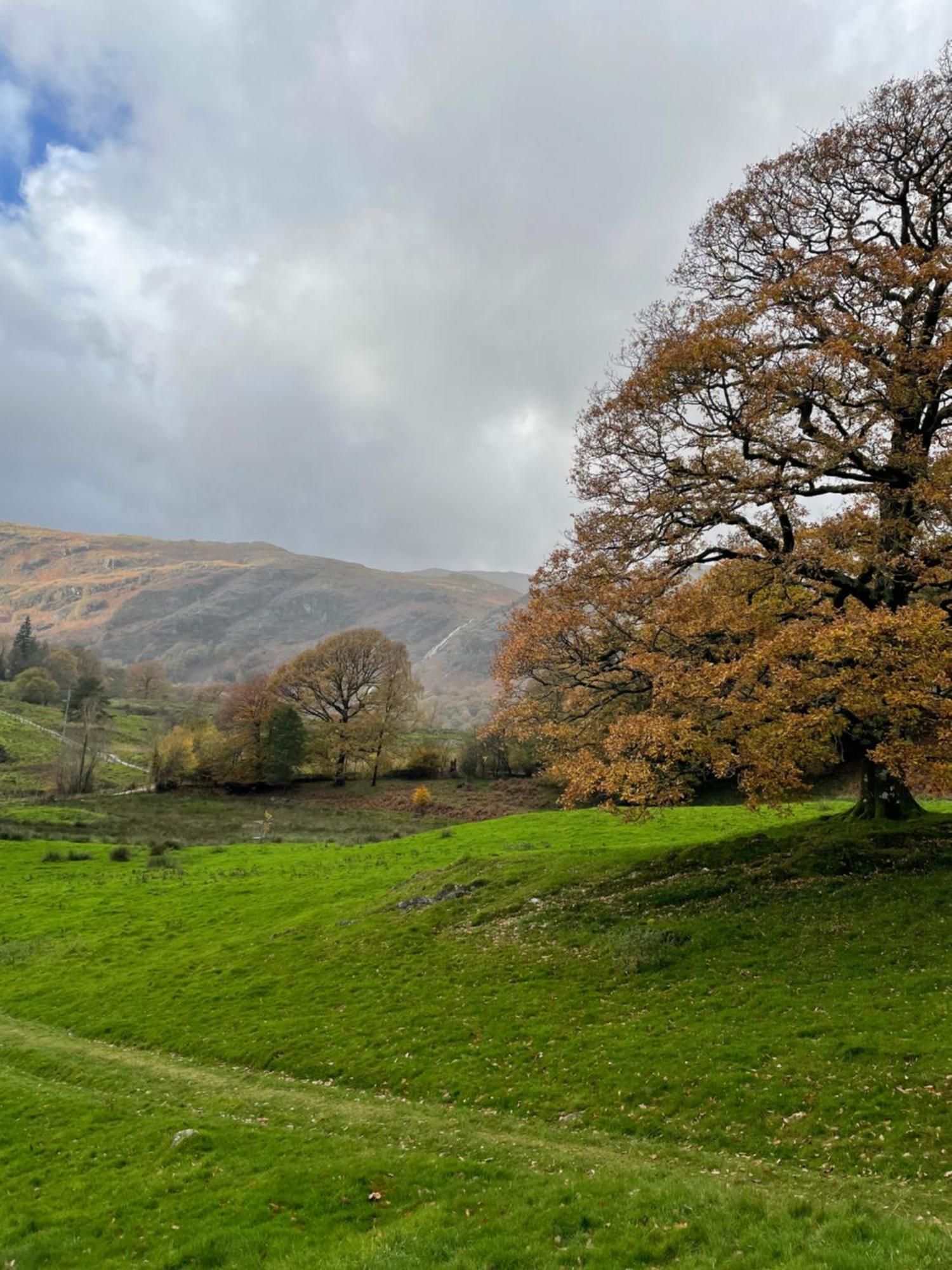 Grizedale View Apartman Coniston Kültér fotó